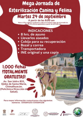 459057705_528819406362573_3443477786747458811_n